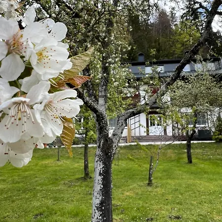 Апартаменты Beim Talschuster *