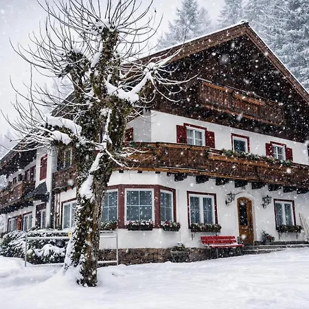 Daire Beim Talschuster Scheffau am Wilden Kaiser