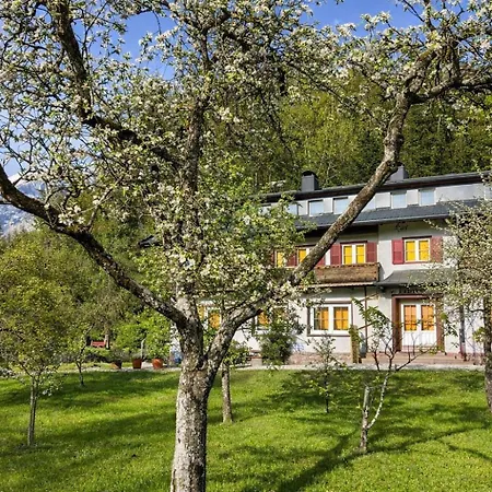 Beim Talschuster Daire Scheffau am Wilden Kaiser