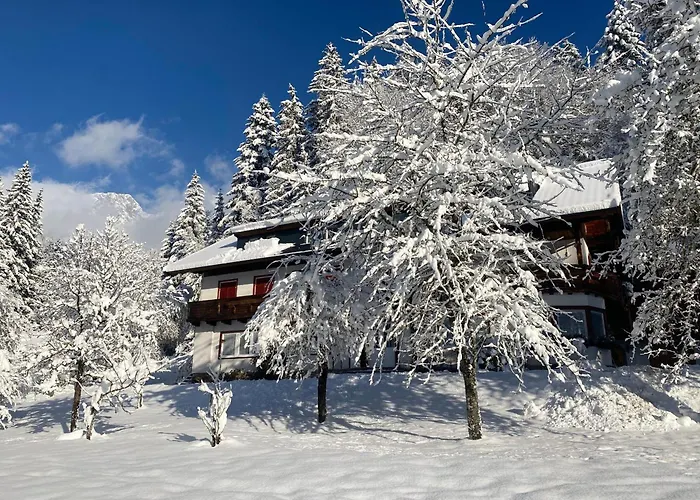 Beim Talschuster Scheffau am Wilden Kaiser