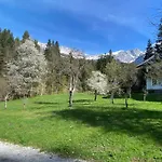 Beim Talschuster Daire Scheffau am Wilden Kaiser