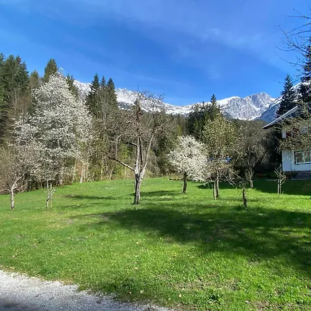 Beim Talschuster Apartmán Scheffau am Wilden Kaiser