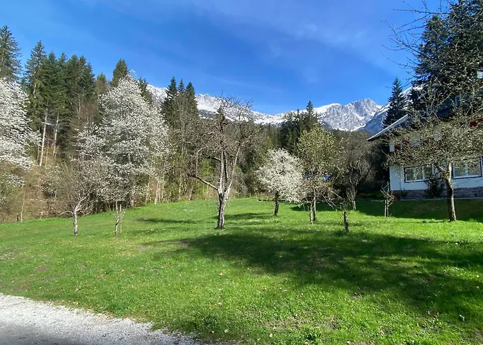 Beim Talschuster Appartamento Scheffau am Wilden Kaiser